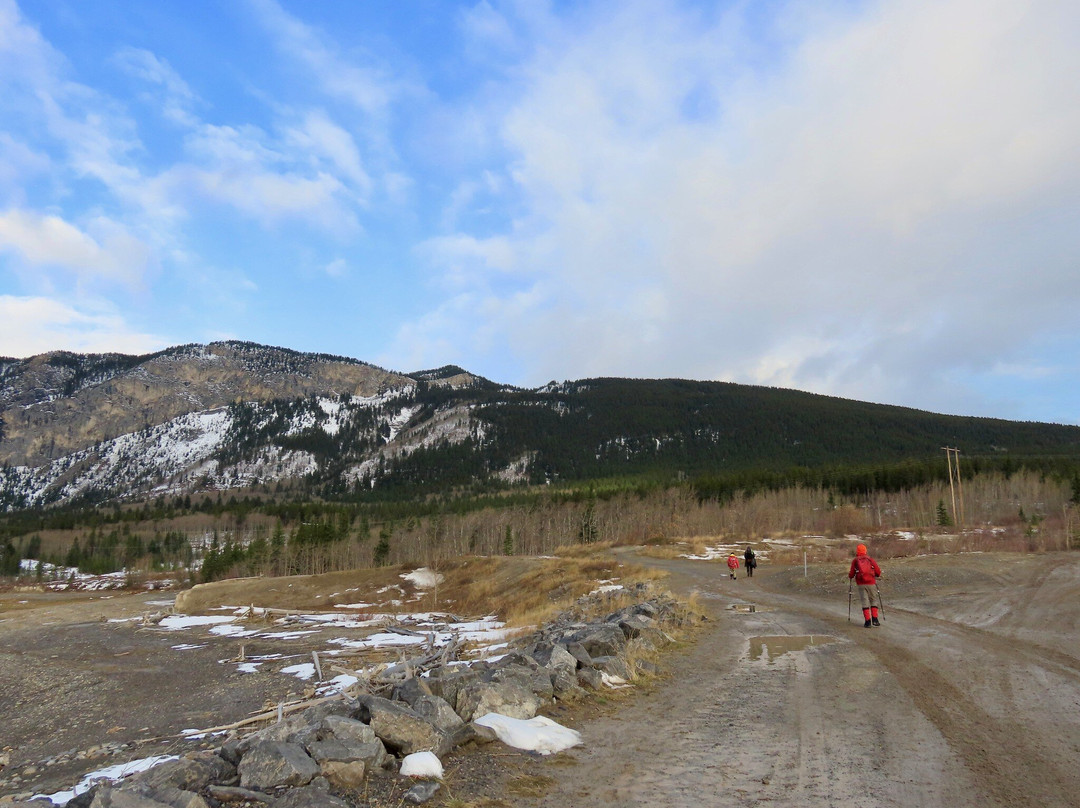 Prairie View Trail-卡那那斯基斯必去景点