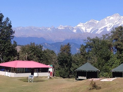 Magpie Jungle Camp Chopta Uttarakhand-餐饮