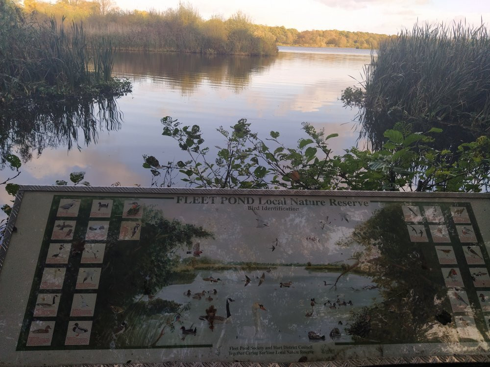 Fleet Pond景点图片