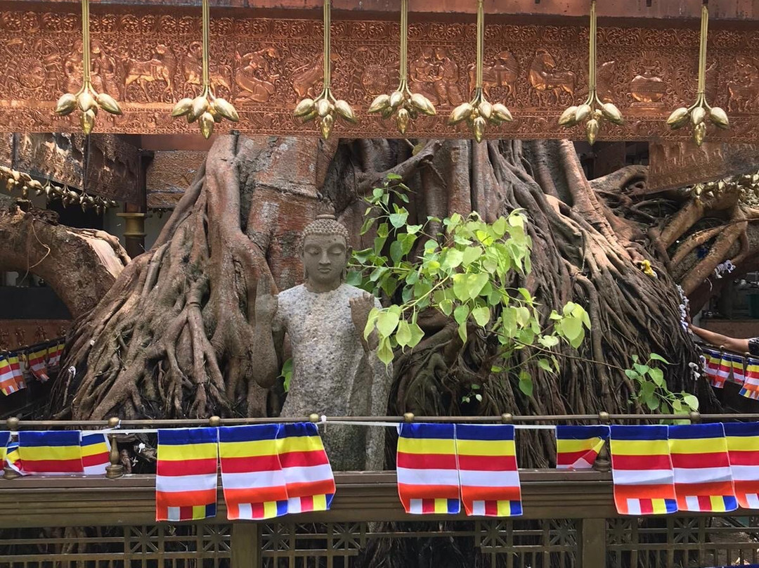 Asokaramaya Buddhist Temple-科伦坡必去景点