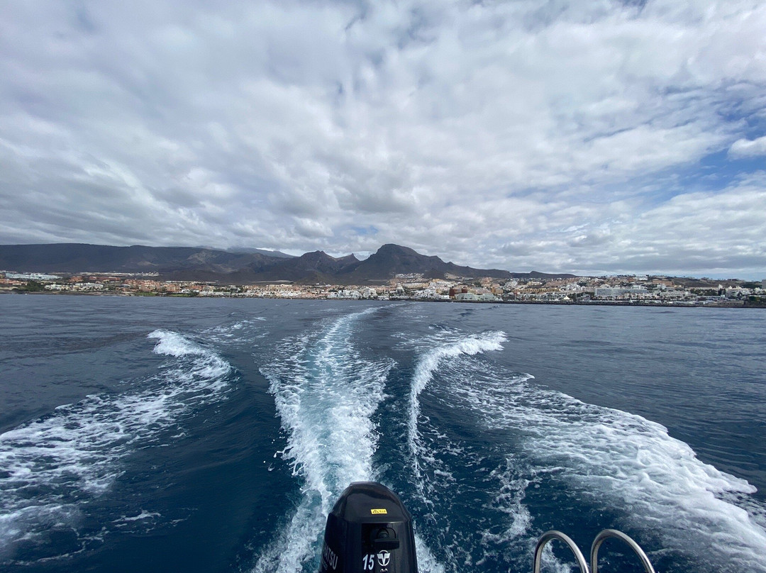 Tenerife Boats-奥德杰海岸必去景点