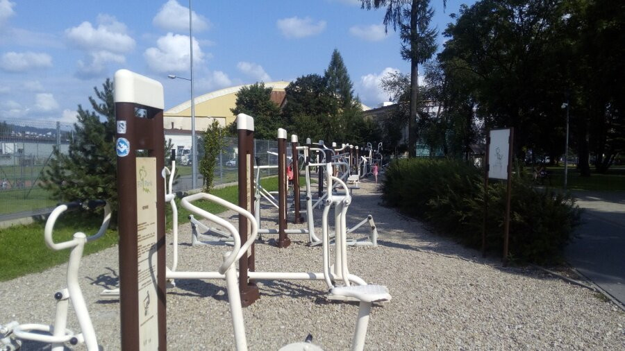 The City Park. Adam Mickiewicz