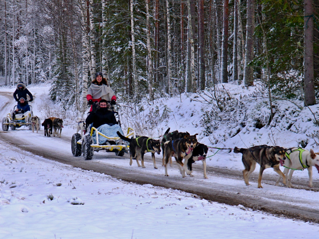 Parpalandia-罗瓦涅米必去景点