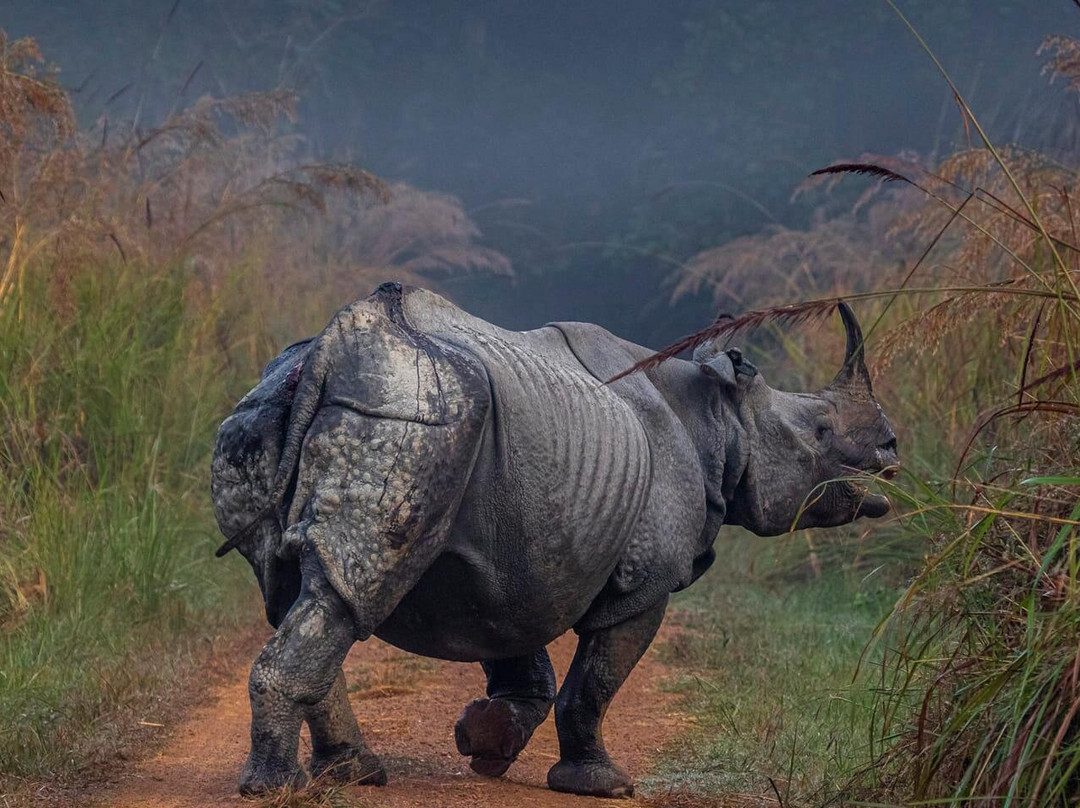 Dudhwa Fun Resort主图