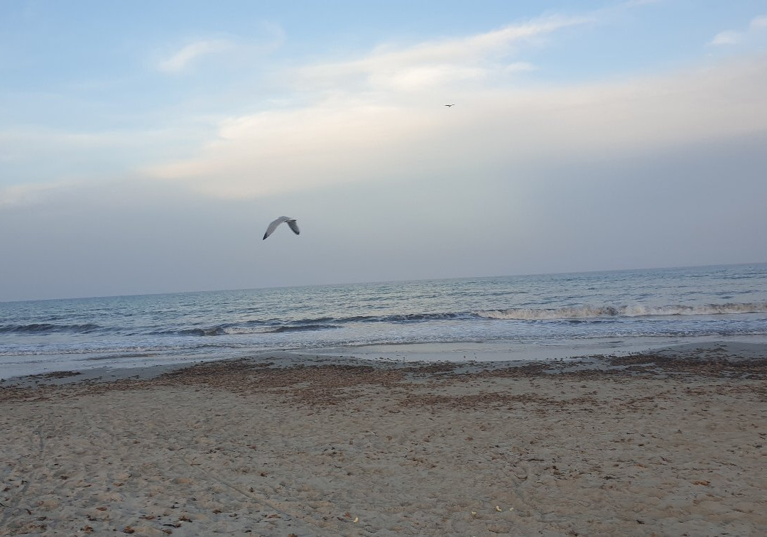 Playa de la Torre Derribada-San Pedro del Pinatar必去景点