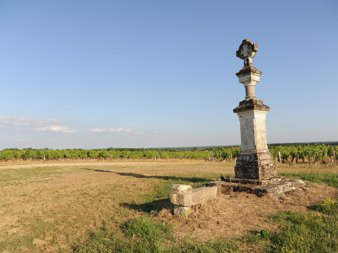 Château de la Croix景点图片