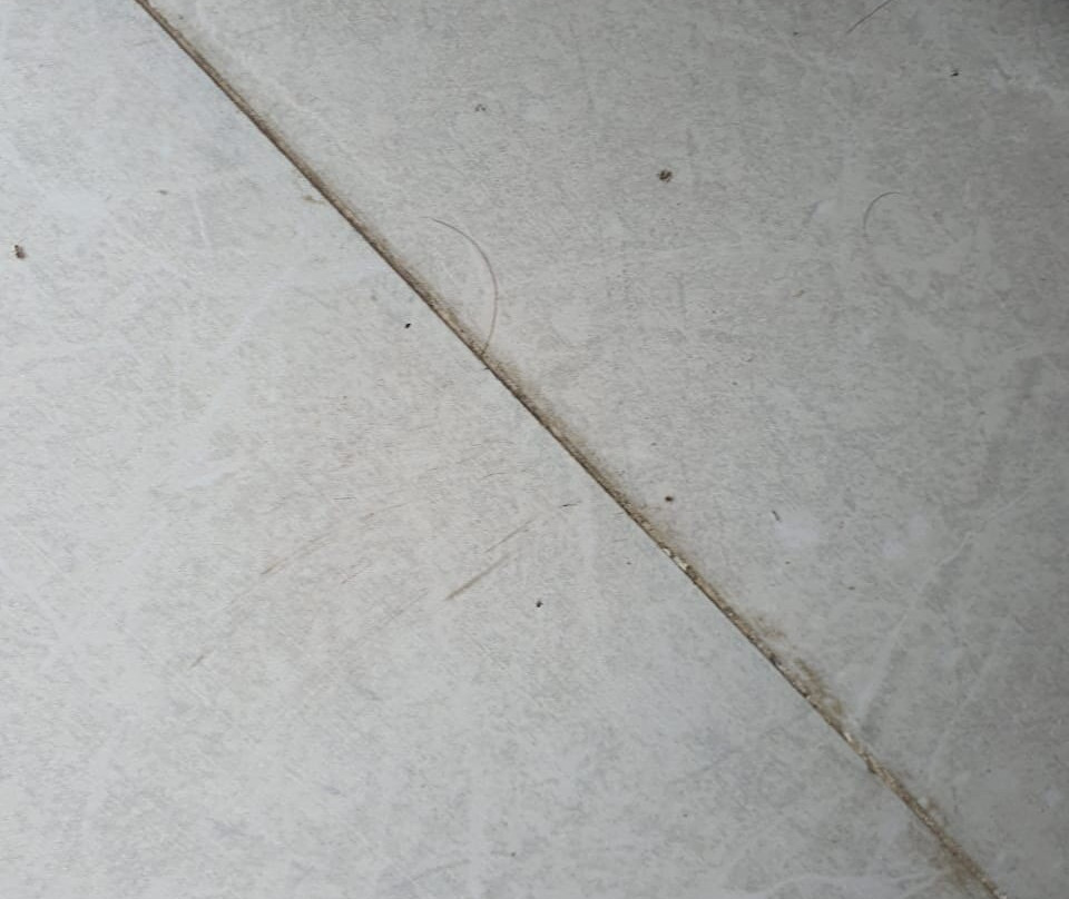 Pollos Hotel & Gallery主图