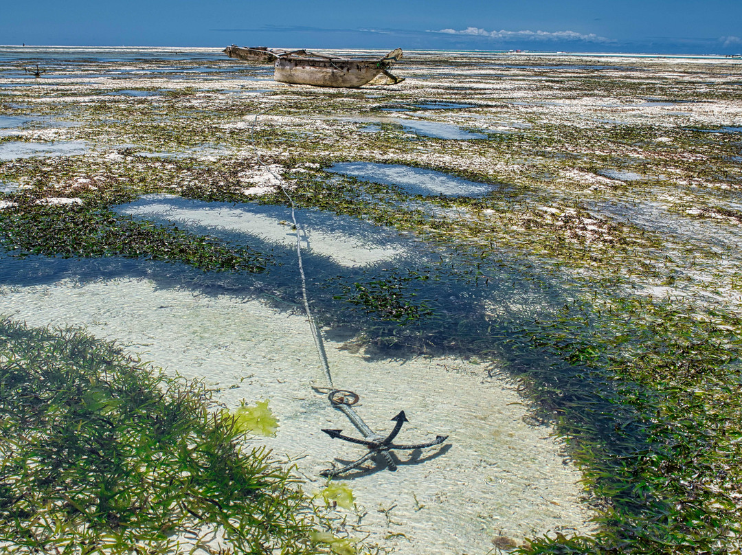 Hekaya Zanzibar Hotel主图