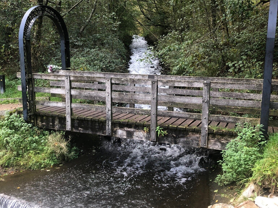 Cwmtillery Lakes景点图片