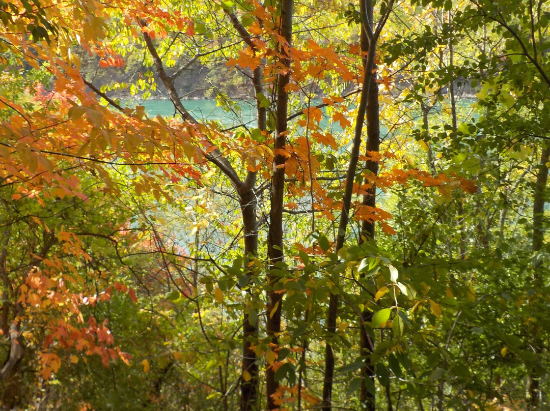 Artpark-Lewiston必去景点