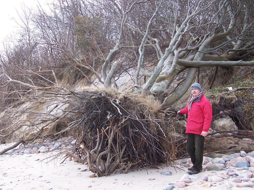 Jastrzebia Gora Beach-Jastrzebia Gora必去景点