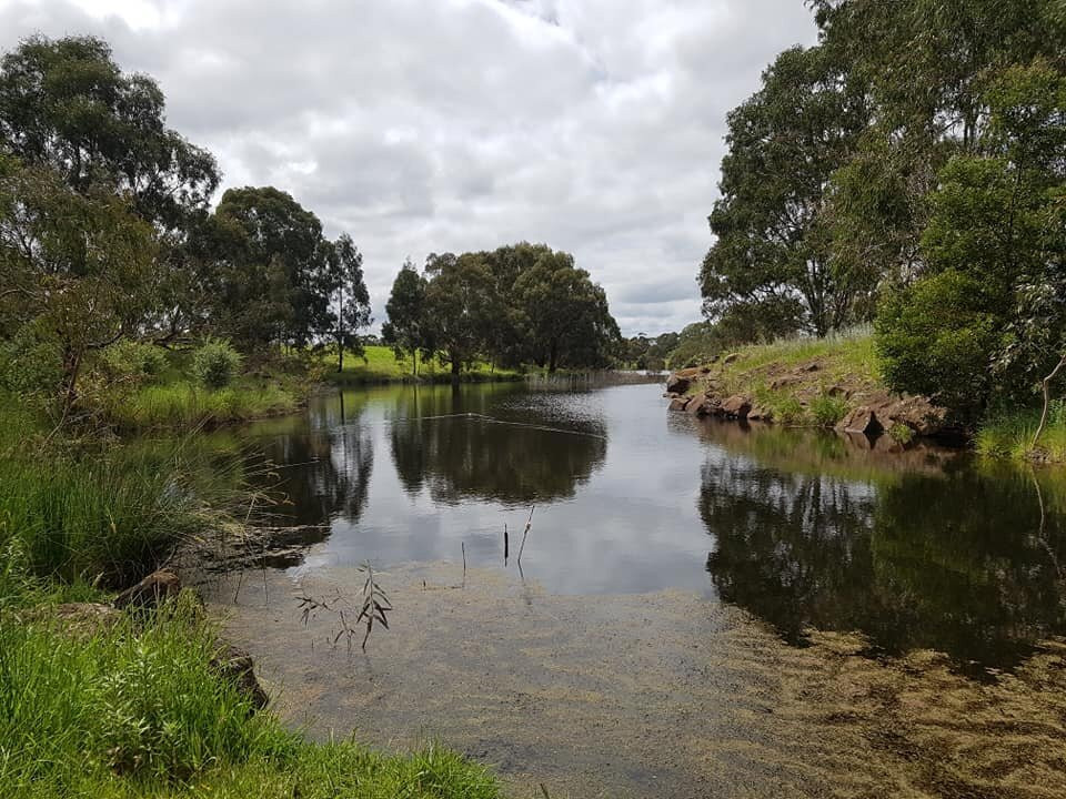 Morang Wetlands-South Morang必去景点