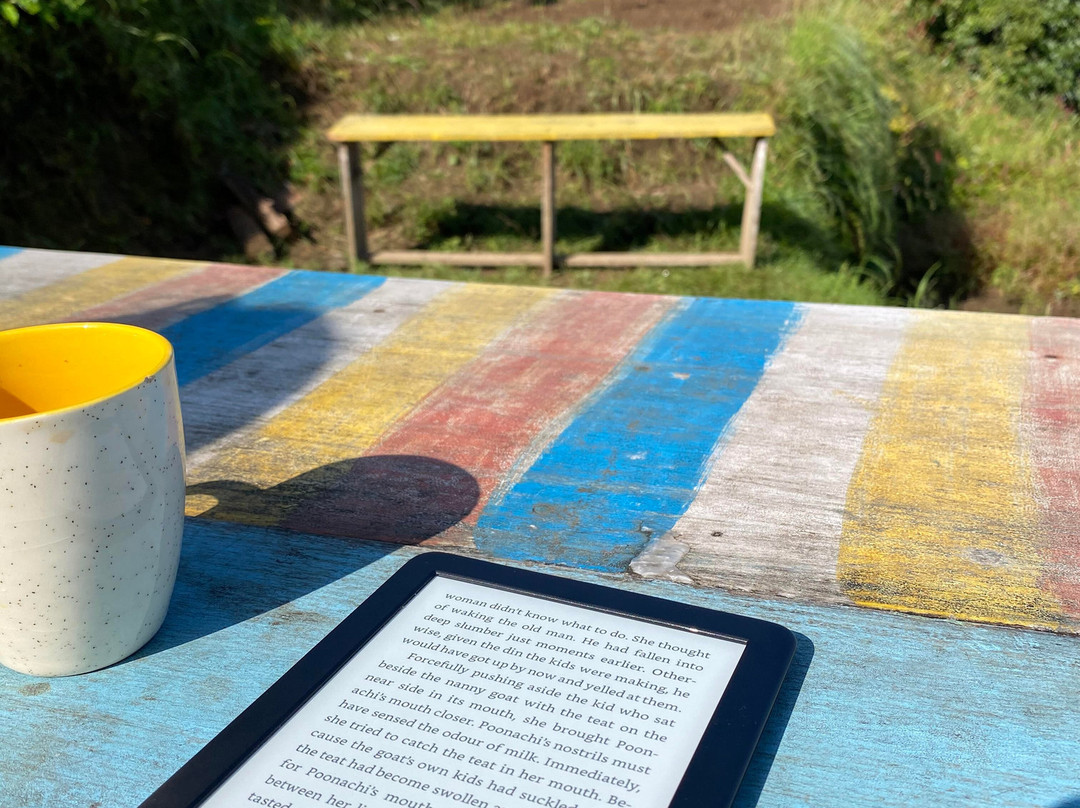 Shivaya Since 1953主图