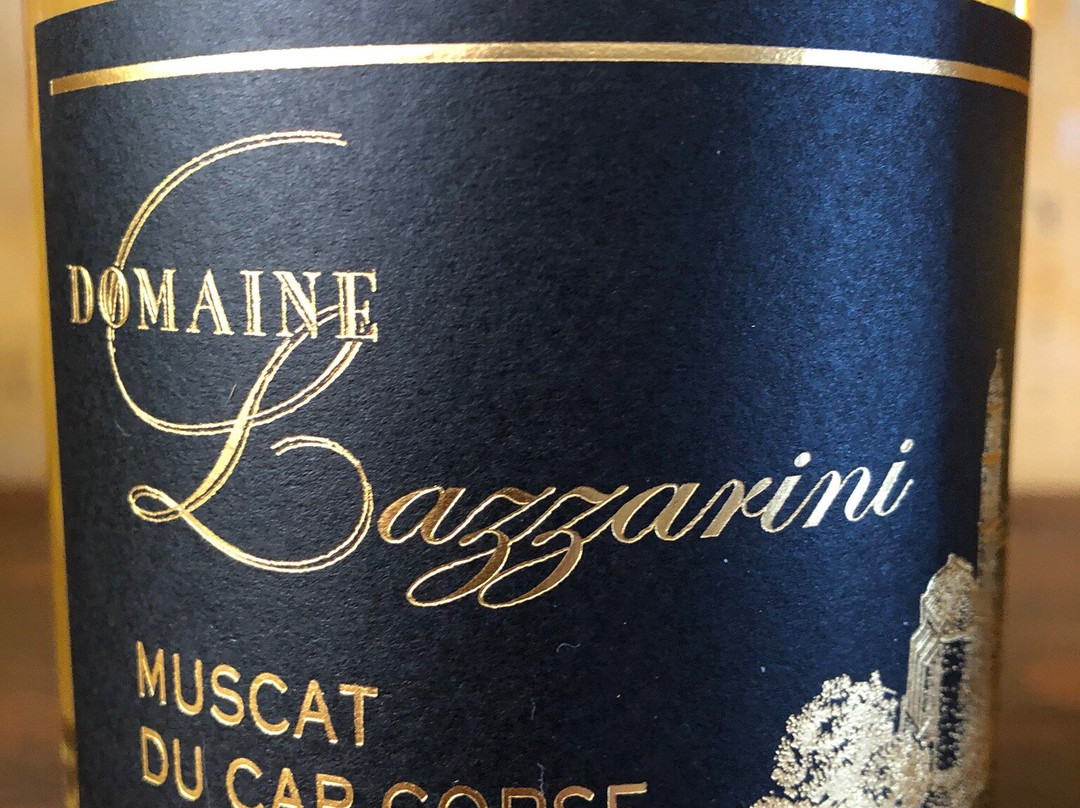 Domaine Lazzarini-Patrimonio必去景点