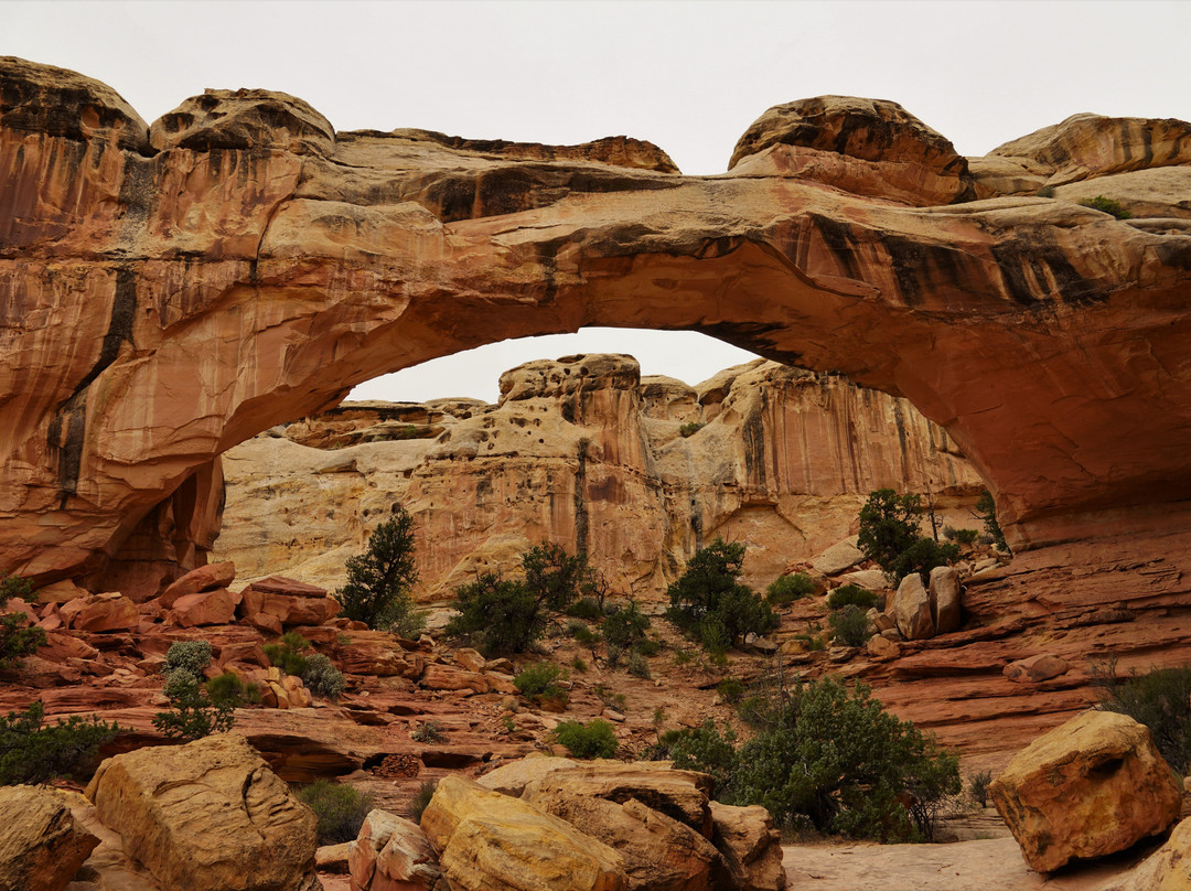 Torrey Schoolhouse Bed & Breakfast Inn主图