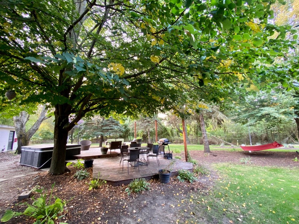 Blue Star Motel主图