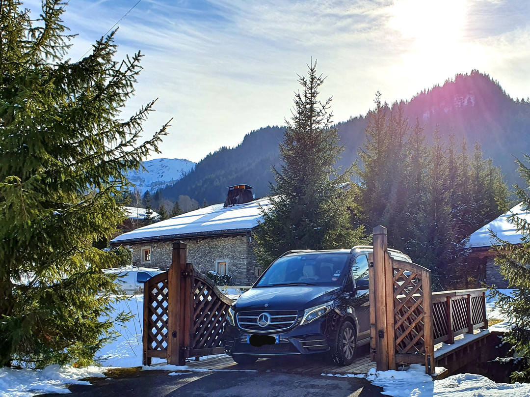 ABIS ALPES Chauffeur景点图片