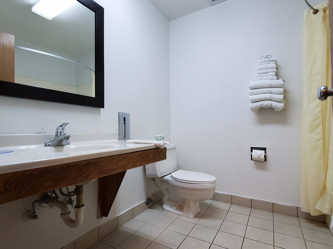 Econo Lodge Inn & Suites主图