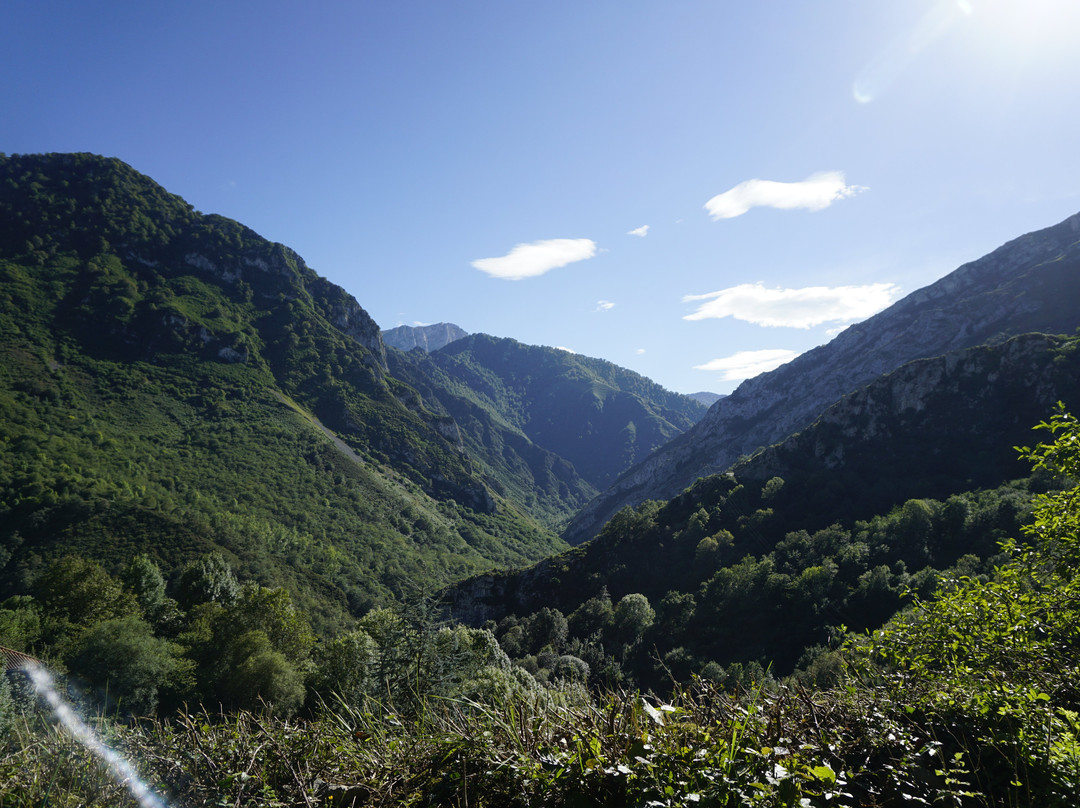 Parque Natural de Ponga景点图片