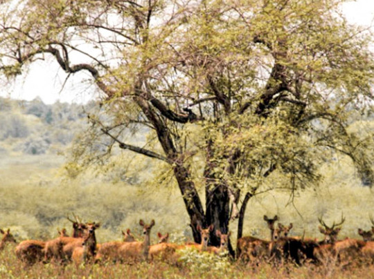 cleopatravel-巴纽旺宣必去景点