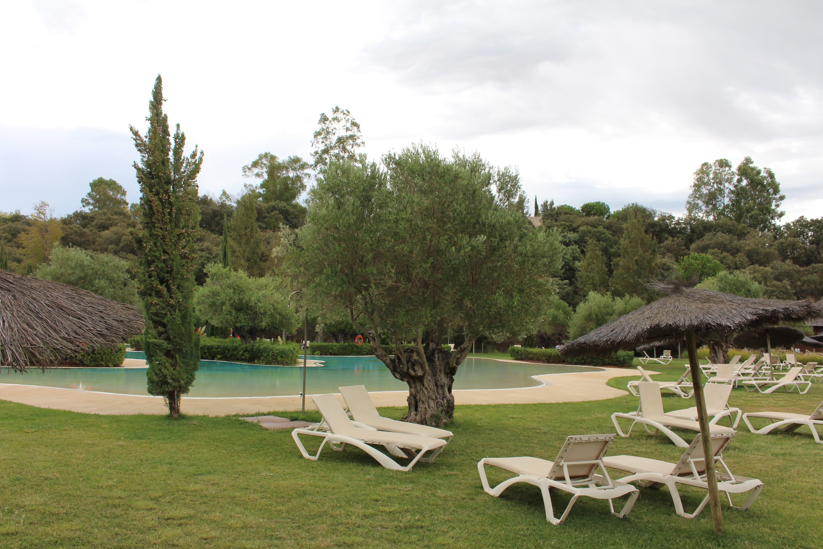 Vincci Valdecañas Golf-泳池