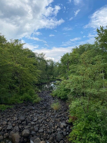 Wayne Village Dam on Mill Brook