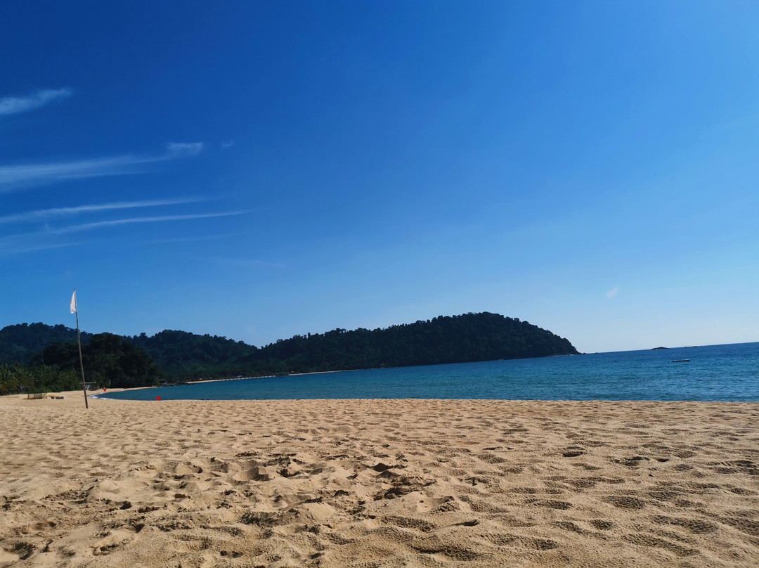 1511 Coconut Grove主图