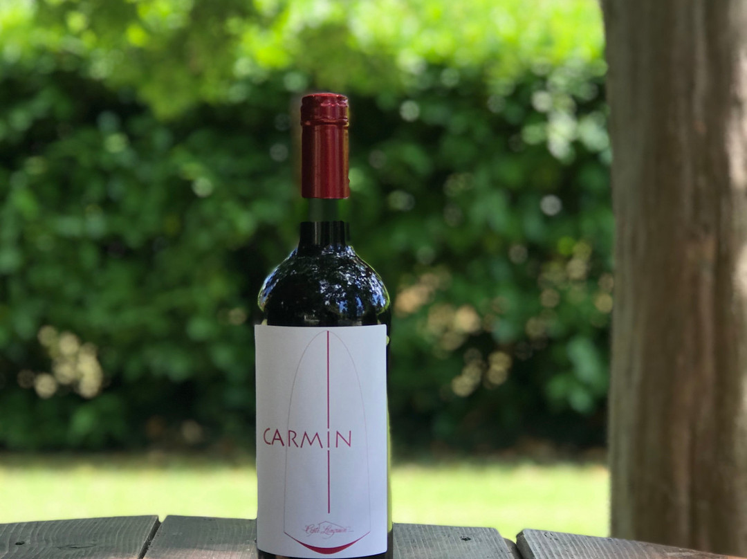 Domaine Coste Longuiere景点图片