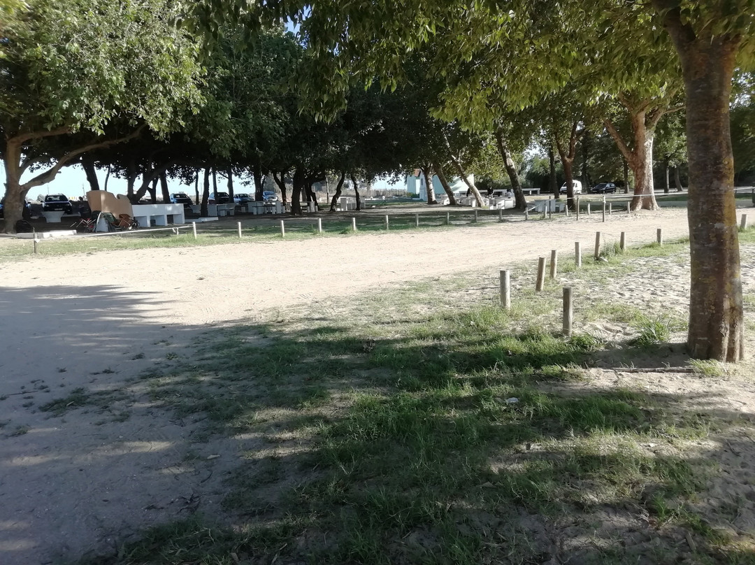 Praia Doce景点图片