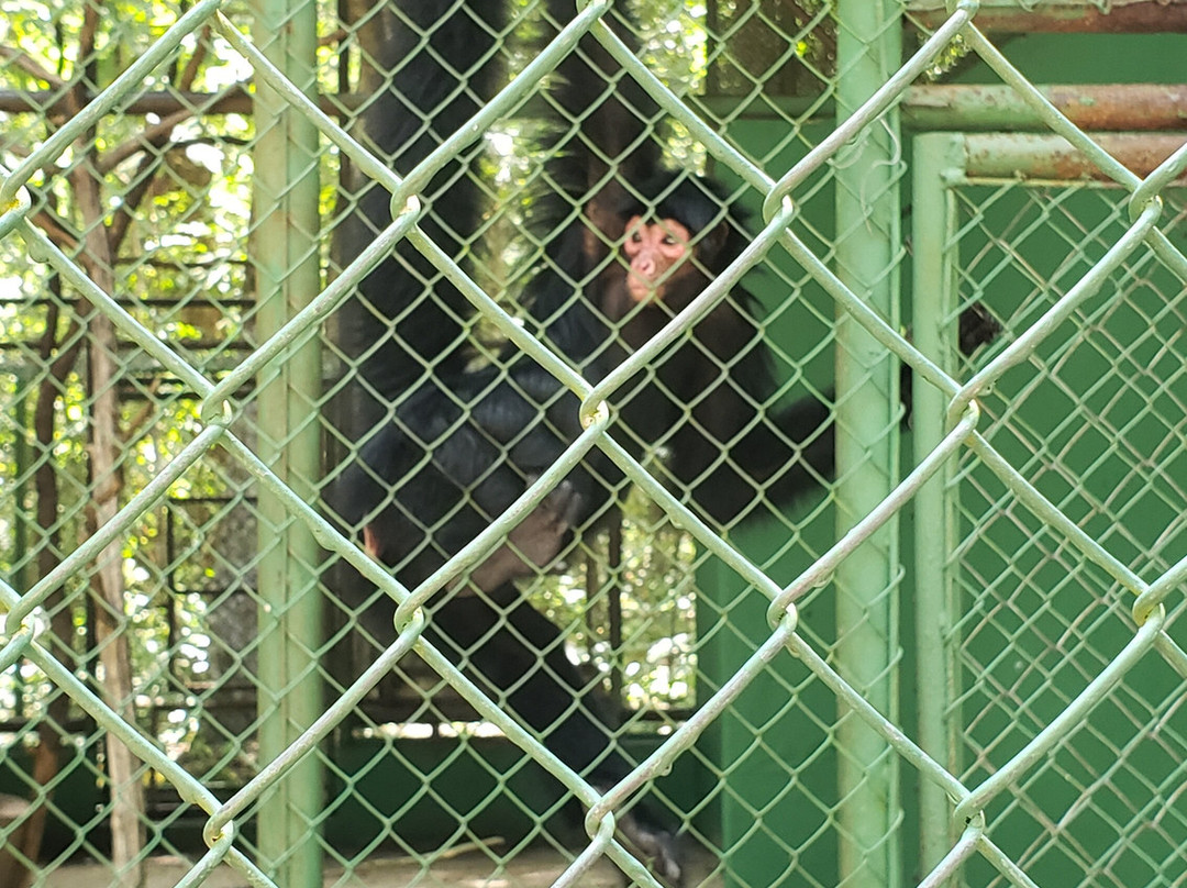Bioparque Municipal de Macapa-Macapa必去景点