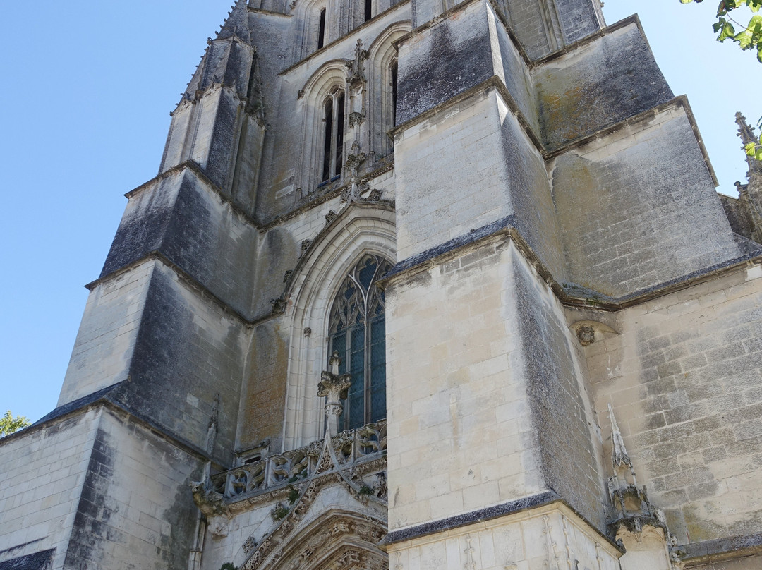 Cathedrale Saint-Pierre景点图片