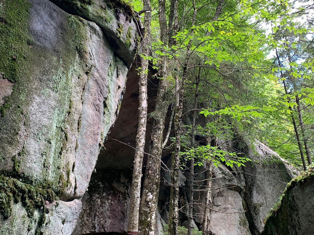 Castle Rock Trail景点图片