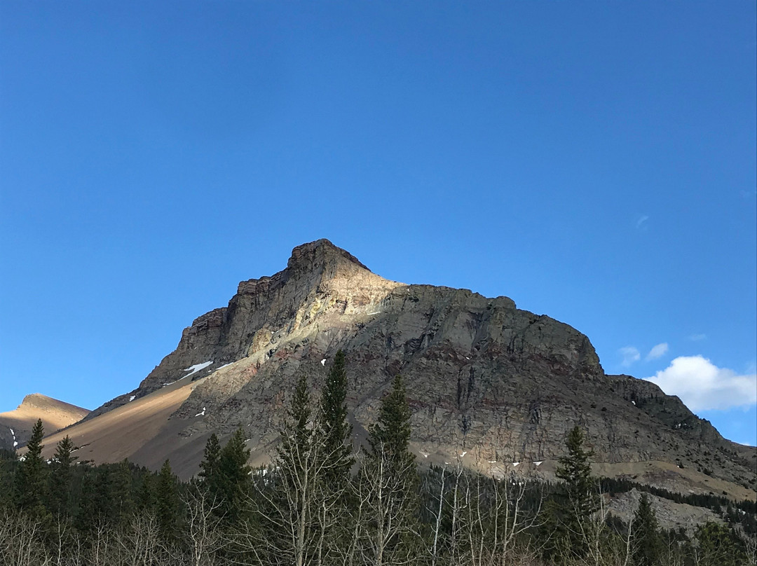 Table Mountain Trail-Beaver Mines必去景点
