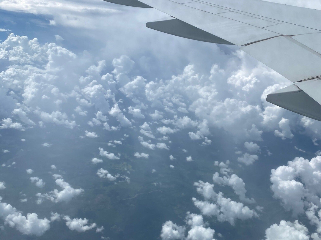 Doutor Viagem-累西腓必去景点