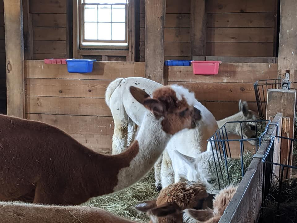 山景豪华度假酒店及Spa主图