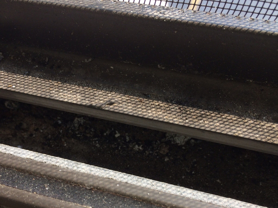 Baymont by Wyndham Grand Rapids Airport主图