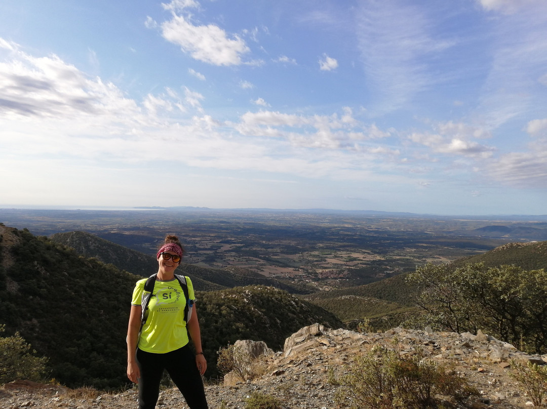 Castell de Requesens景点图片