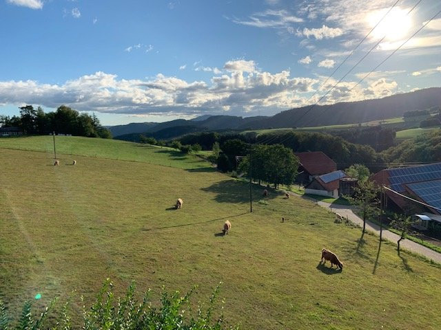 Biederbach酒店住宿-Pfaus Heidburg