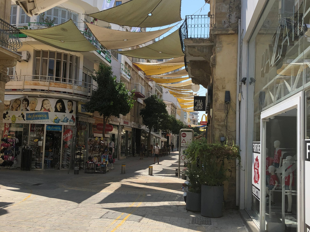 Nicosia Open Market景点图片