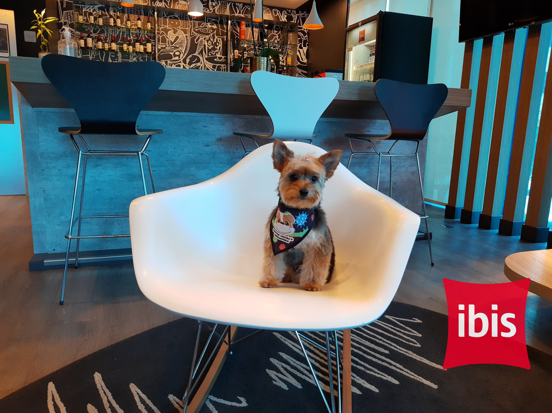 宜必思帕苏丰杜中心酒店主图