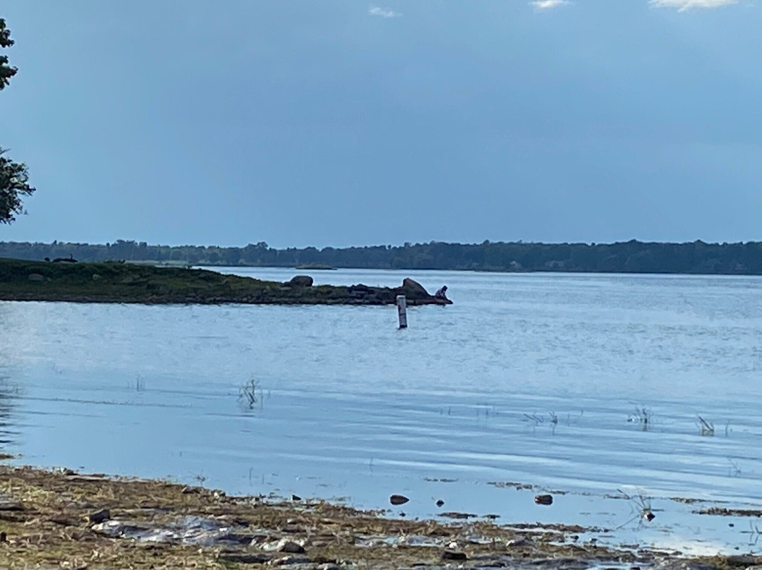 Robert Moses State Park景点图片
