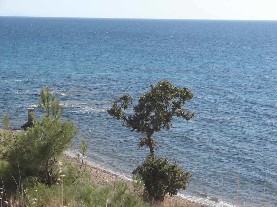 Ida Tatil Sitesi Plaji景点图片