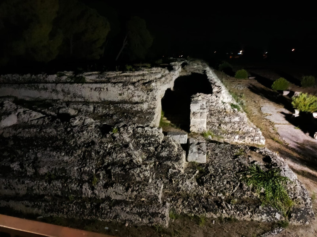 Serena Guida turistica Siracusa-锡拉库扎必去景点