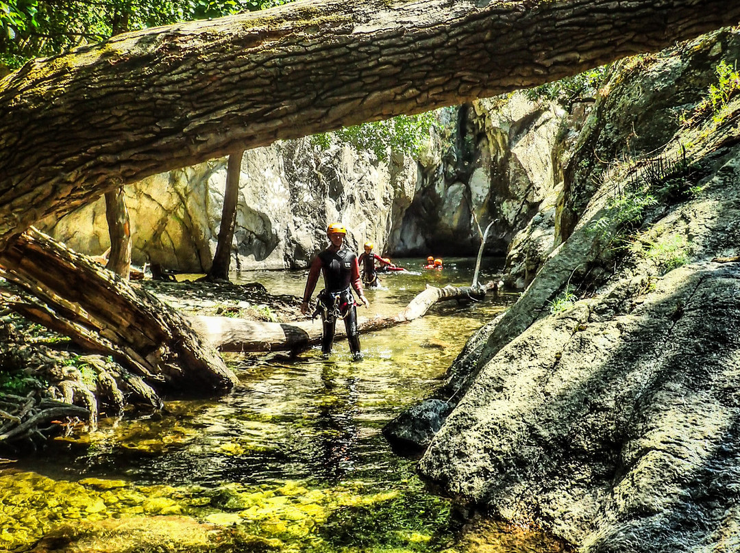 Canyoning Catalan By Tendances Du Sud景点图片