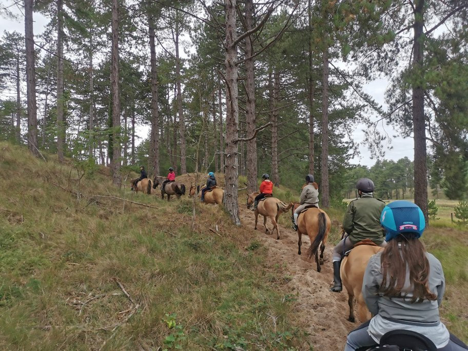 Espaces Equestres Henson景点图片