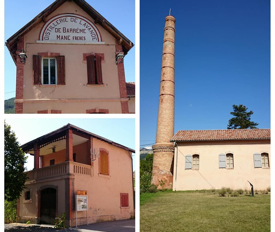 Musée de la Distillerie de Lavande景点图片