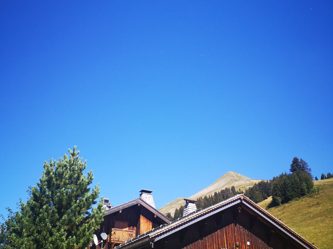 La Vieille Ferme主图