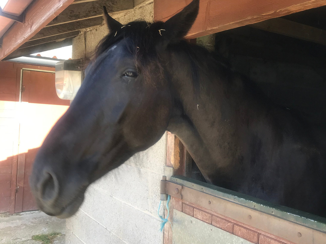 Ravencar Farm Bed & Breakfast主图