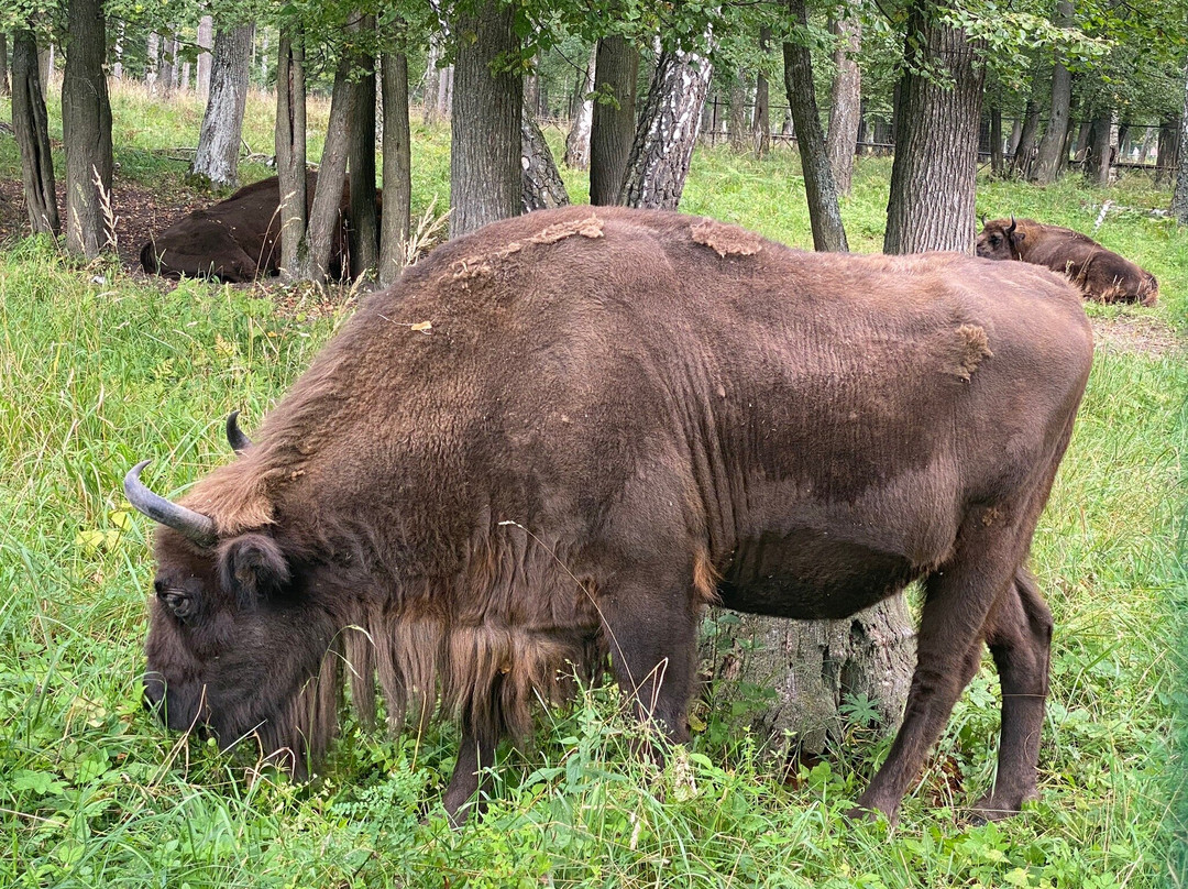 The Bison Breeding Centre景点图片