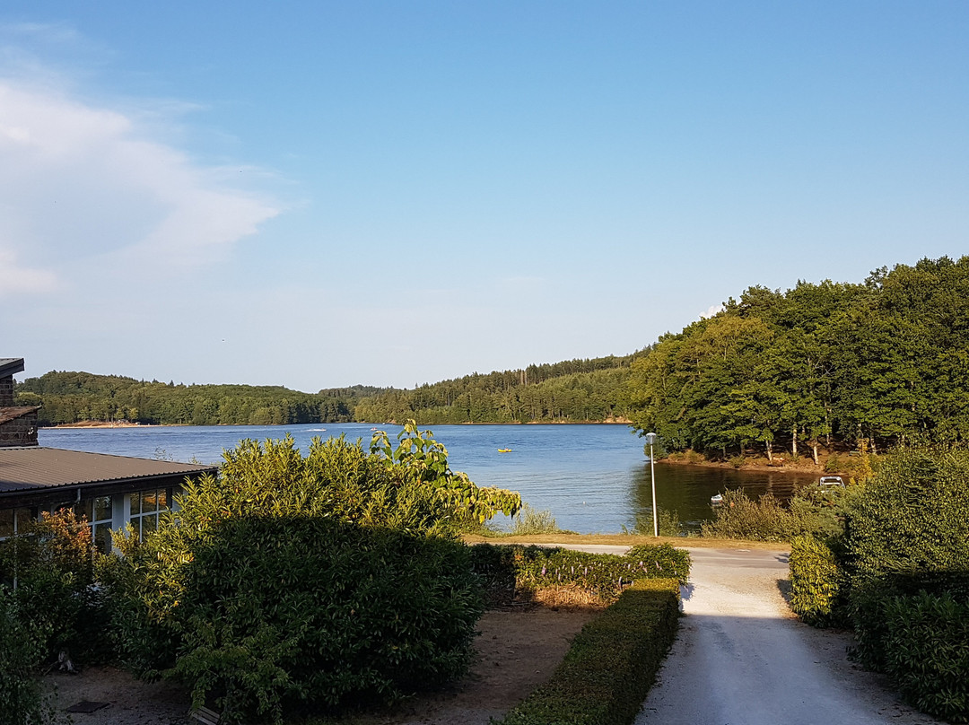 Logis Hôtel du Lac主图